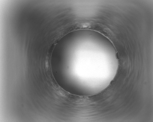 X0000070881442200606302125