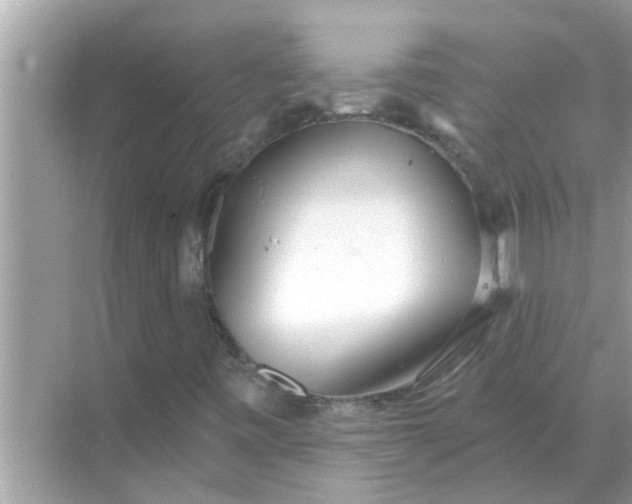 X0000070881443200606302125