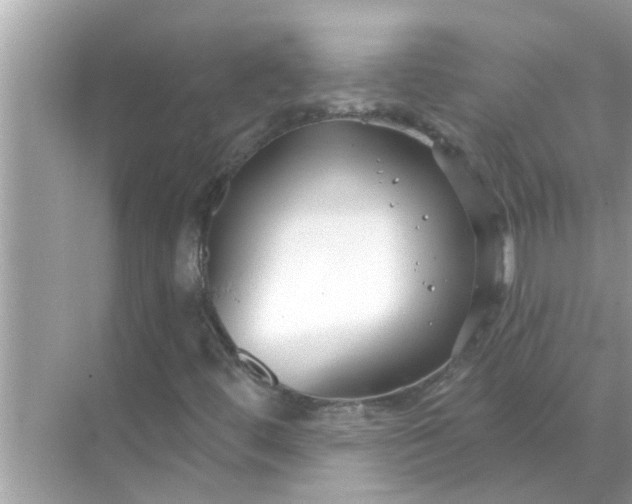 X0000070881444200606302125