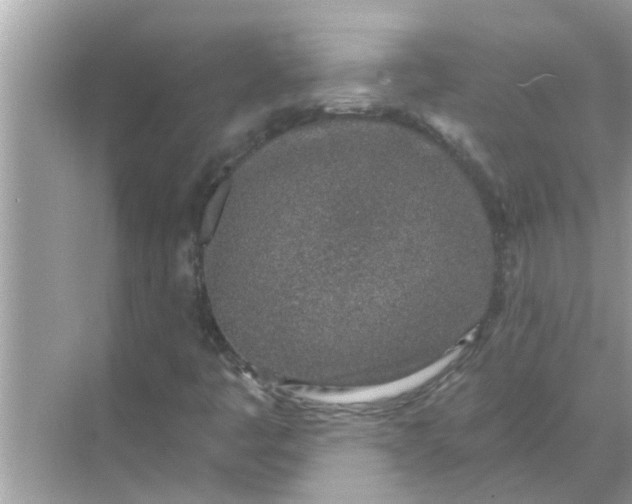 X0000070881445200606302125