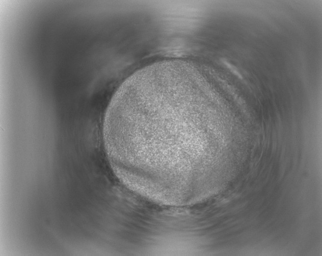 X0000070881446200606302125