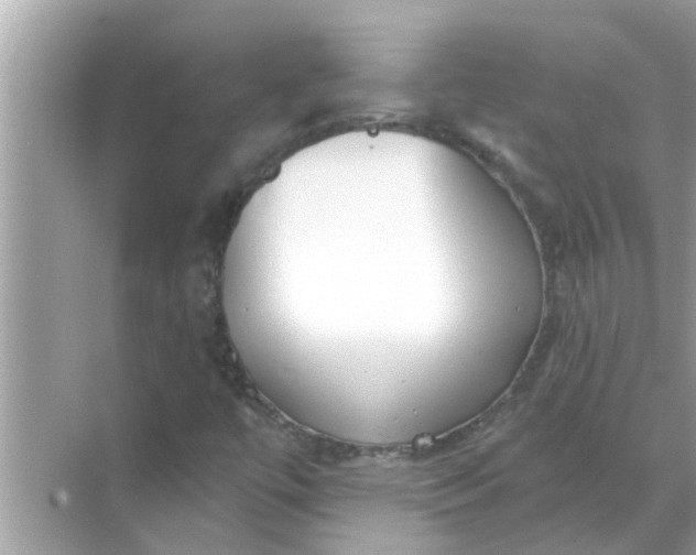 X0000070881447200606302125