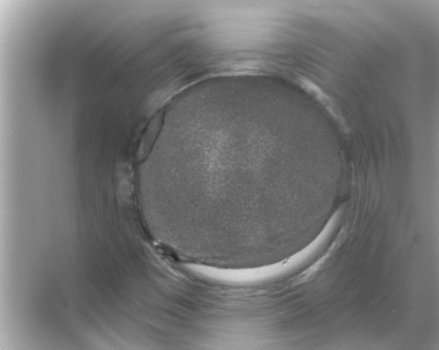 X0000070881449200606302125