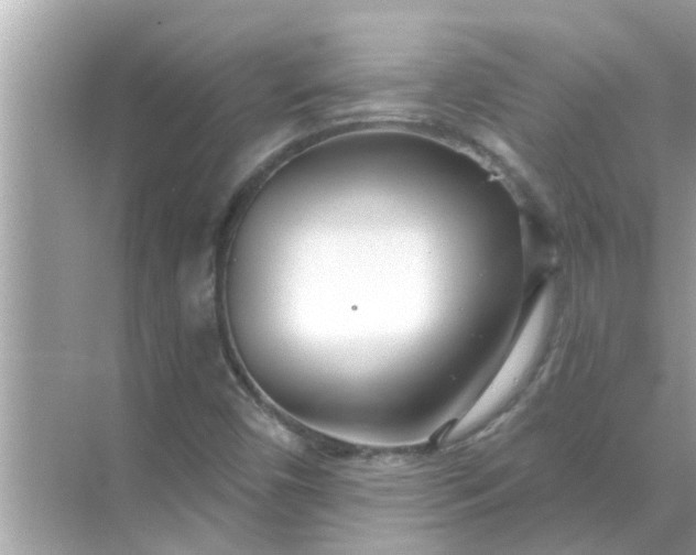 X0000070881450200606302125