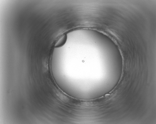 X0000070881451200606302125