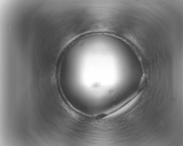 X0000070881452200606302125