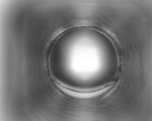 X0000070881453200606302125