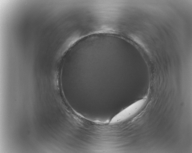 X0000070881455200606302125