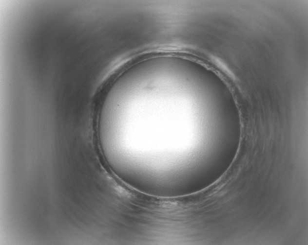 X0000070881456200606302125