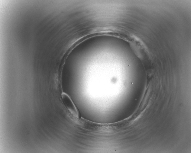 X0000070881457200606302125