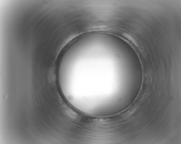 X0000070881458200606302125