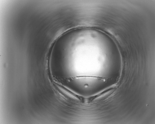 X0000070881459200606302125