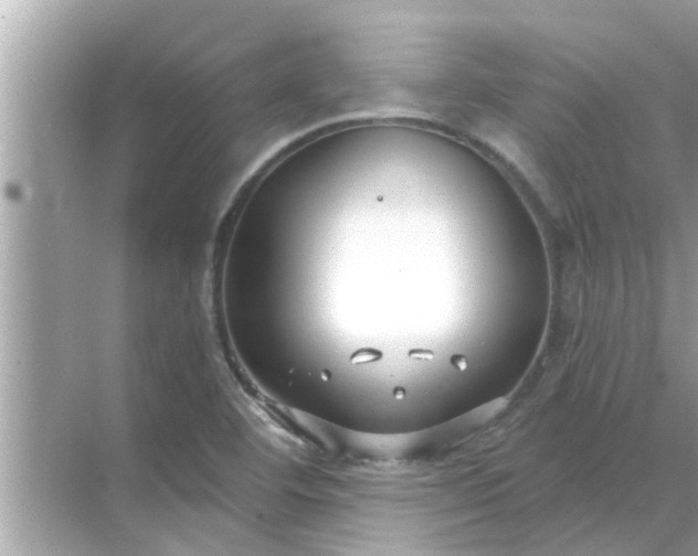 X0000070881460200606302125