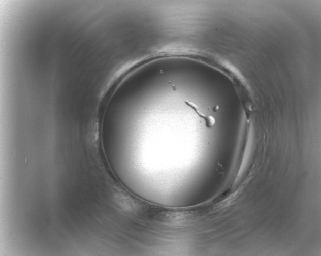 X0000070881461200606302125