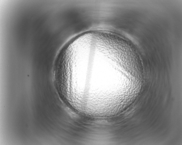 X0000070881462200606302125