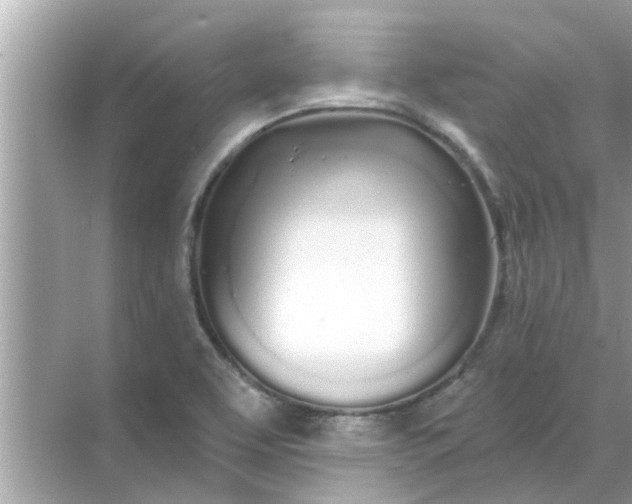 X0000070881463200606302125