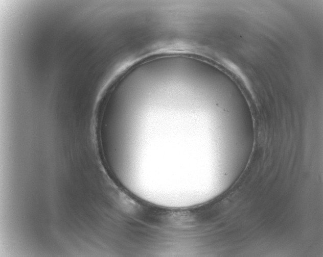 X0000070881464200606302125