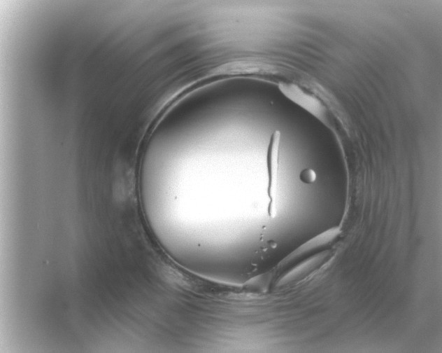 X0000070881465200606302125