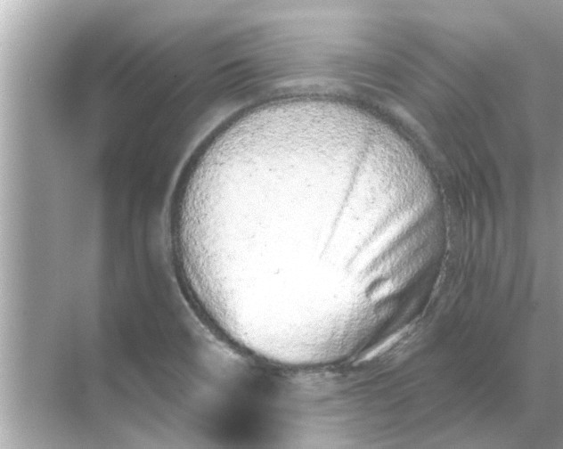 X0000070881466200606302125