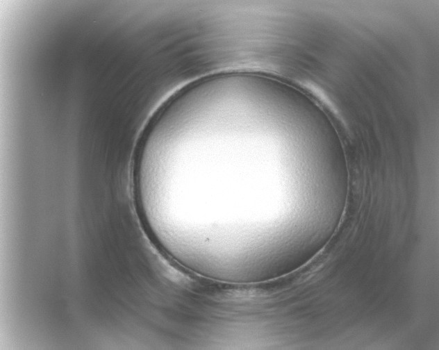 X0000070881468200606302125