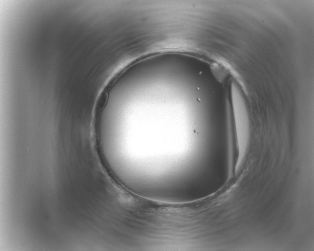 X0000070881469200606302125