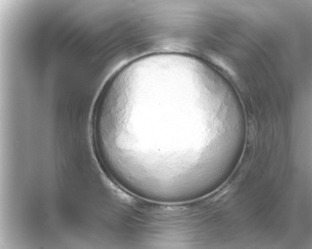 X0000070881471200606302125