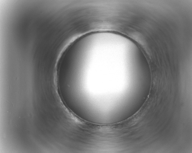 X0000070881472200606302125