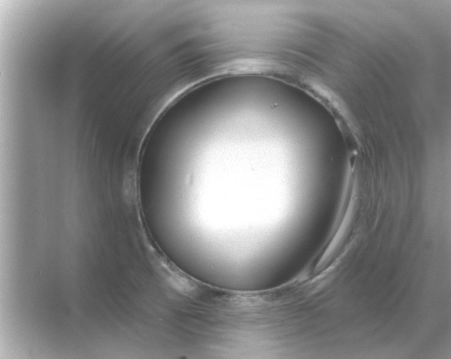 X0000070881473200606302125