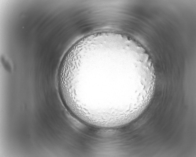 X0000070881474200606302125