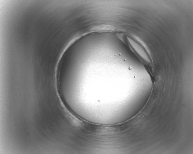 X0000070881475200606302125