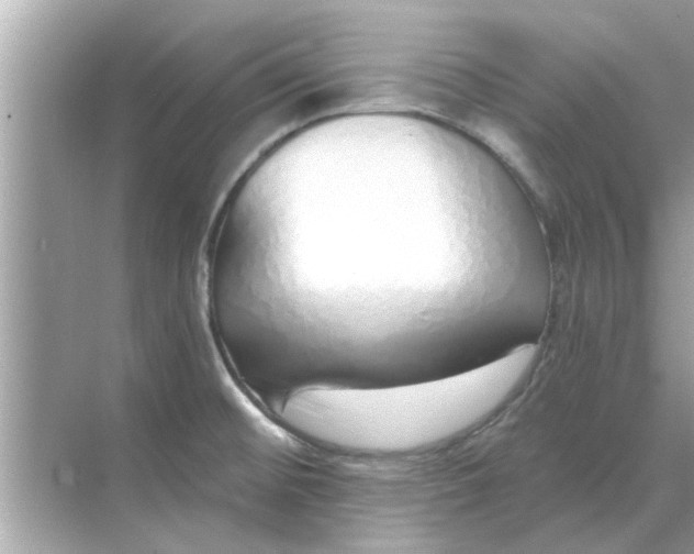 X0000070881476200606302125