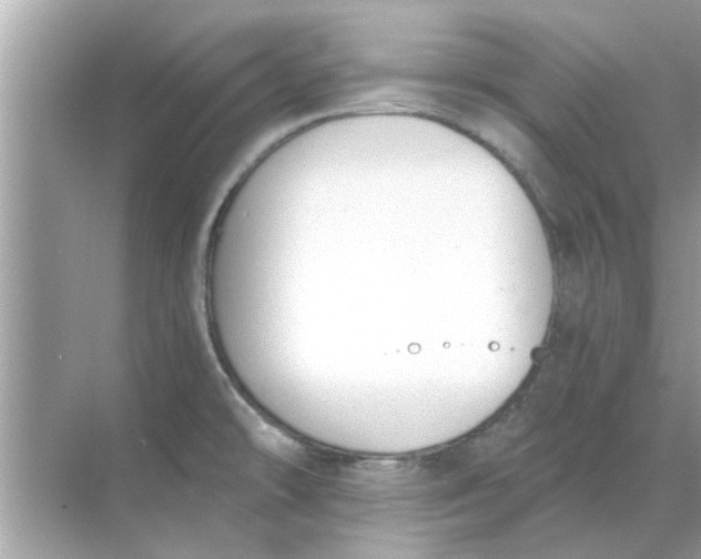 X0000070881478200606302125