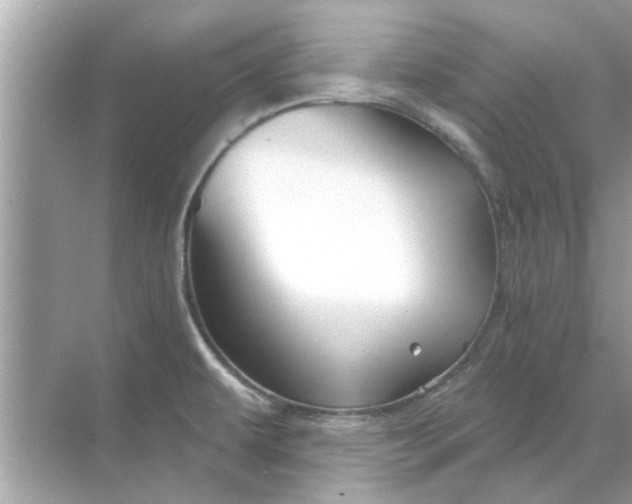 X0000070881479200606302125