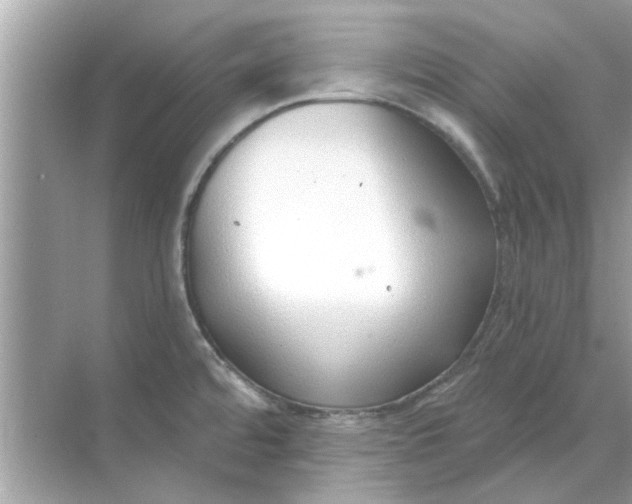 X0000070881480200606302125