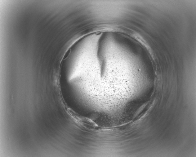 X0000070881481200606302125