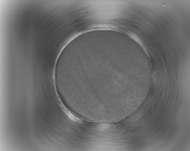 X0000070881482200606302124