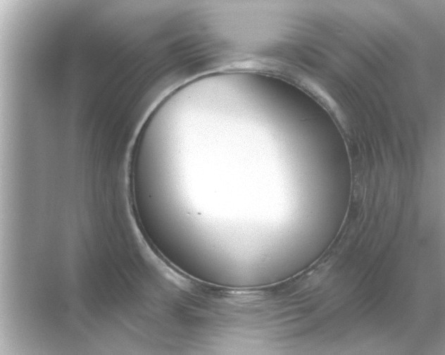 X0000070881483200606302124