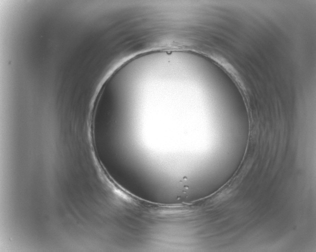 X0000070881486200606302124