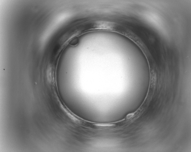 X0000070881487200606302124