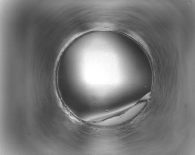 X0000070881488200606302124