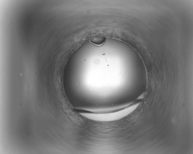 X0000070881489200606302124