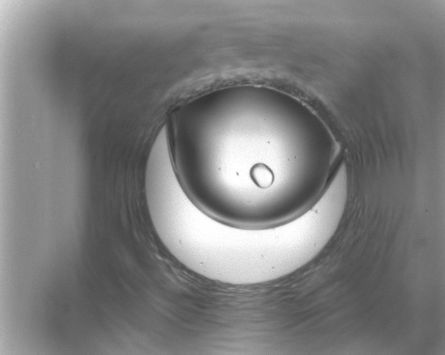 X0000070881492200606302124