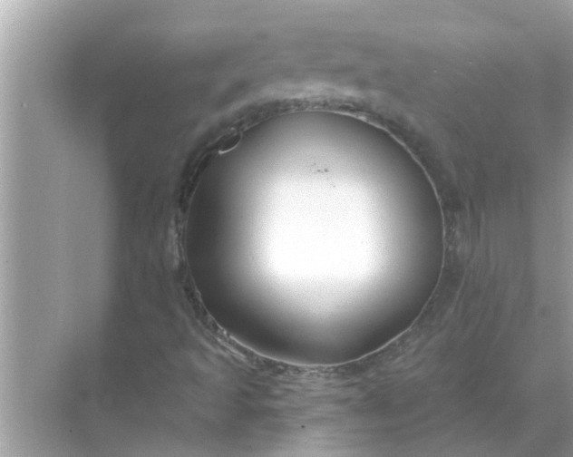 X0000070881493200606302124