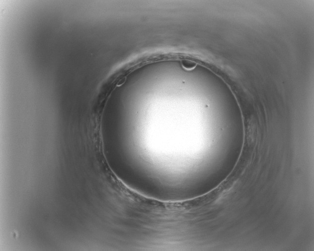 X0000070881494200606302124