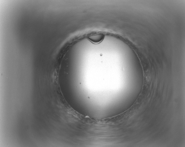 X0000070881495200606302124