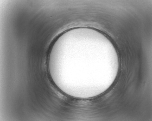 X0000070881498200606302124