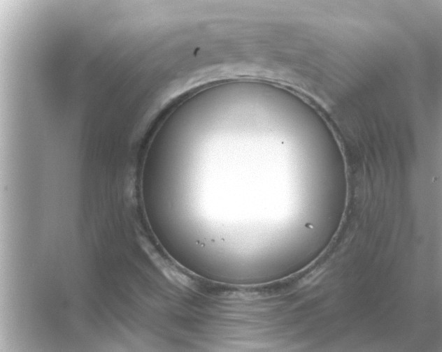 X0000070881499200606302124