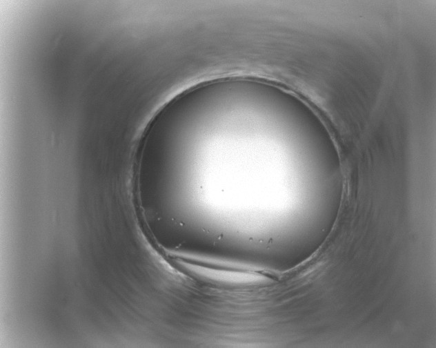 X0000070881500200606302124