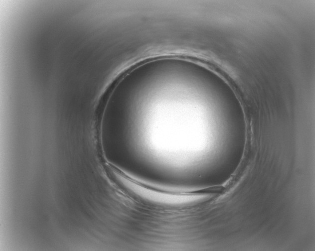 X0000070881501200606302124