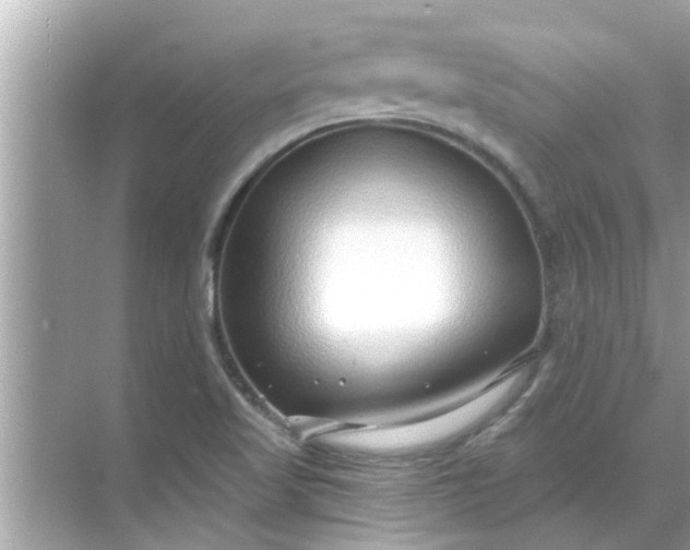 X0000070881509200606302124